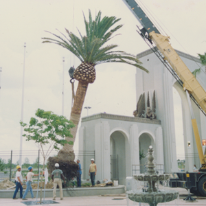 florida landscaping