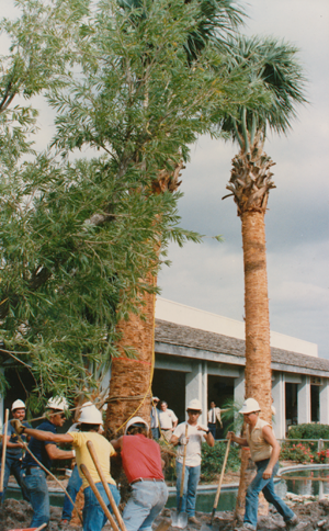 florida landscaping, irrigation installation